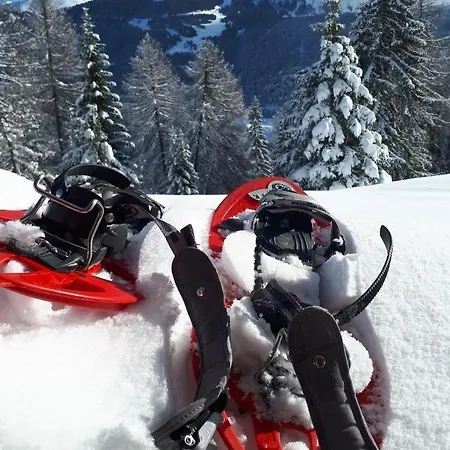 Haus Greiner Appartement