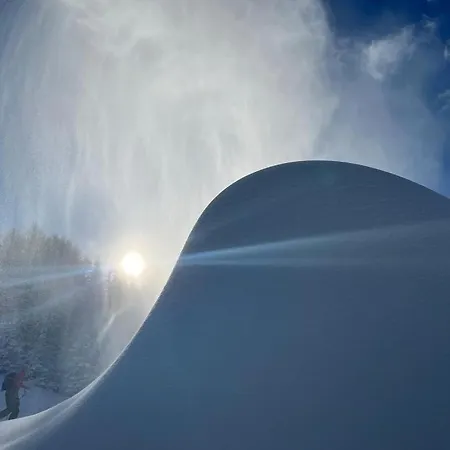 Apartman Haus Greiner *