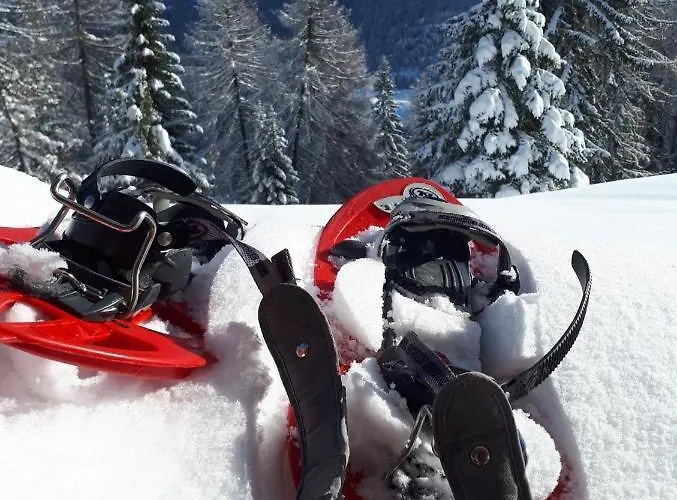 Haus Greiner Apartmán