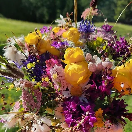 Appartement Haus Greiner