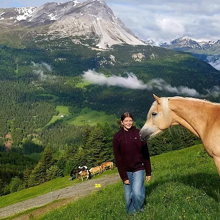 Haus Greiner Appartement